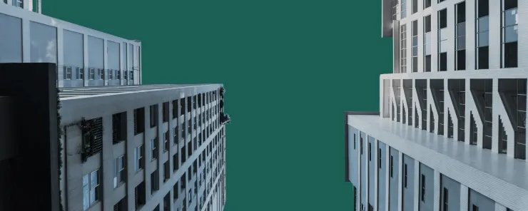 Professional management protects the value of your property